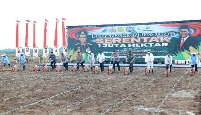 Kementan dan Polri Mantapkan Sinergi Menuju Swasembada Jagung 2025, Targetkan 4 Juta Ton Produksi Tambahan
