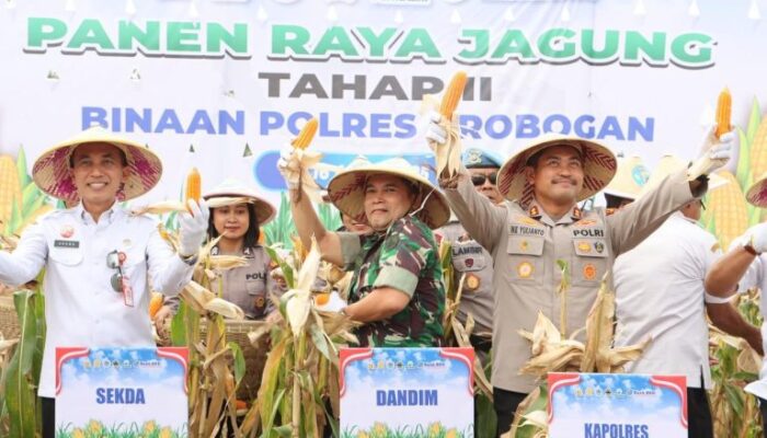 Polres Grobogan Sukses Gelar Panen Raya Jagung di Lahan 274 Hektare 