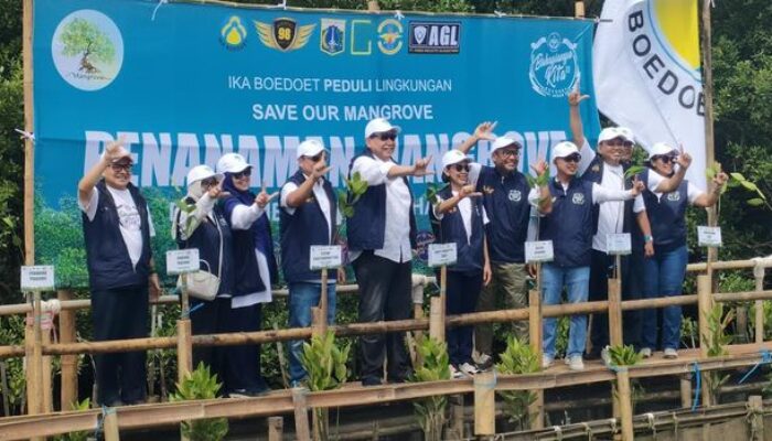 Jakarta Perlu Penamanan Pohon Mangrove Diperbanyak