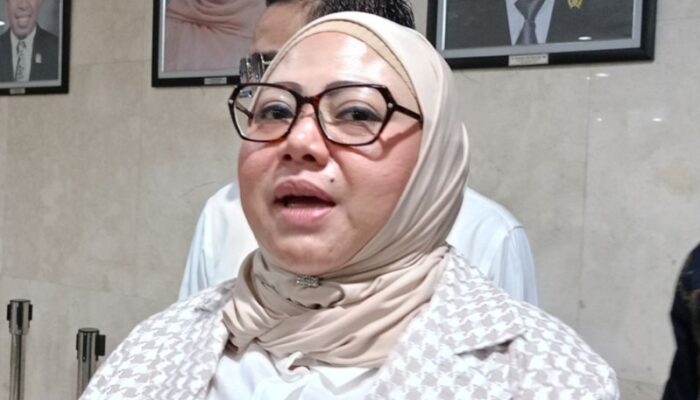 Legislator Rany Mauliani mengapresiasi Dinas Kesehatan DKI Jakarta meluncurkan JakCare.