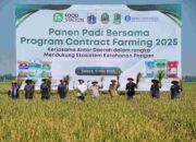 Gubernur Pramono Serahkan Bantuan Pertanian dan Panen Bersama di Karawang