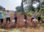 Polsek Kelapa Gading Gelar Panen Raya Jagung Serentak Dukung Swasembada Pangan Nasional