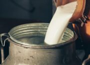 Susu Pertumbuhan Baik untuk Tubuh, Kenapa Justru Dilarang