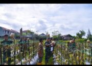 Dandim 1710/Mimika Tinjau Ketahanan Pangan Di Lahan Percontohan Petani Binaan