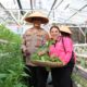 Dukung Ketahanan Pangan, Kapolda Kalteng Bersama Bhayangkari Panen Sayur di Lahan Pekarangan Pangan Lestari