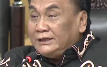 Bambang Pacul Puji Prabowo sebagai Sosok dengan ‘Semangat Korea’