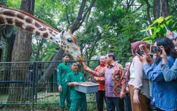  Gubernur Pramono Dorong Peningkatan Fasilitas Kenyamanan Pengunjung di Taman Margasatwa Ragunan