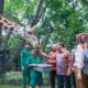  Gubernur Pramono Dorong Peningkatan Fasilitas Kenyamanan Pengunjung di Taman Margasatwa Ragunan