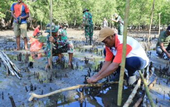 Lestarikan Pantai, Satgas TMMD Kodim 1505/Tidore Galakkan Penanaman Mangrove di Oba Selatan